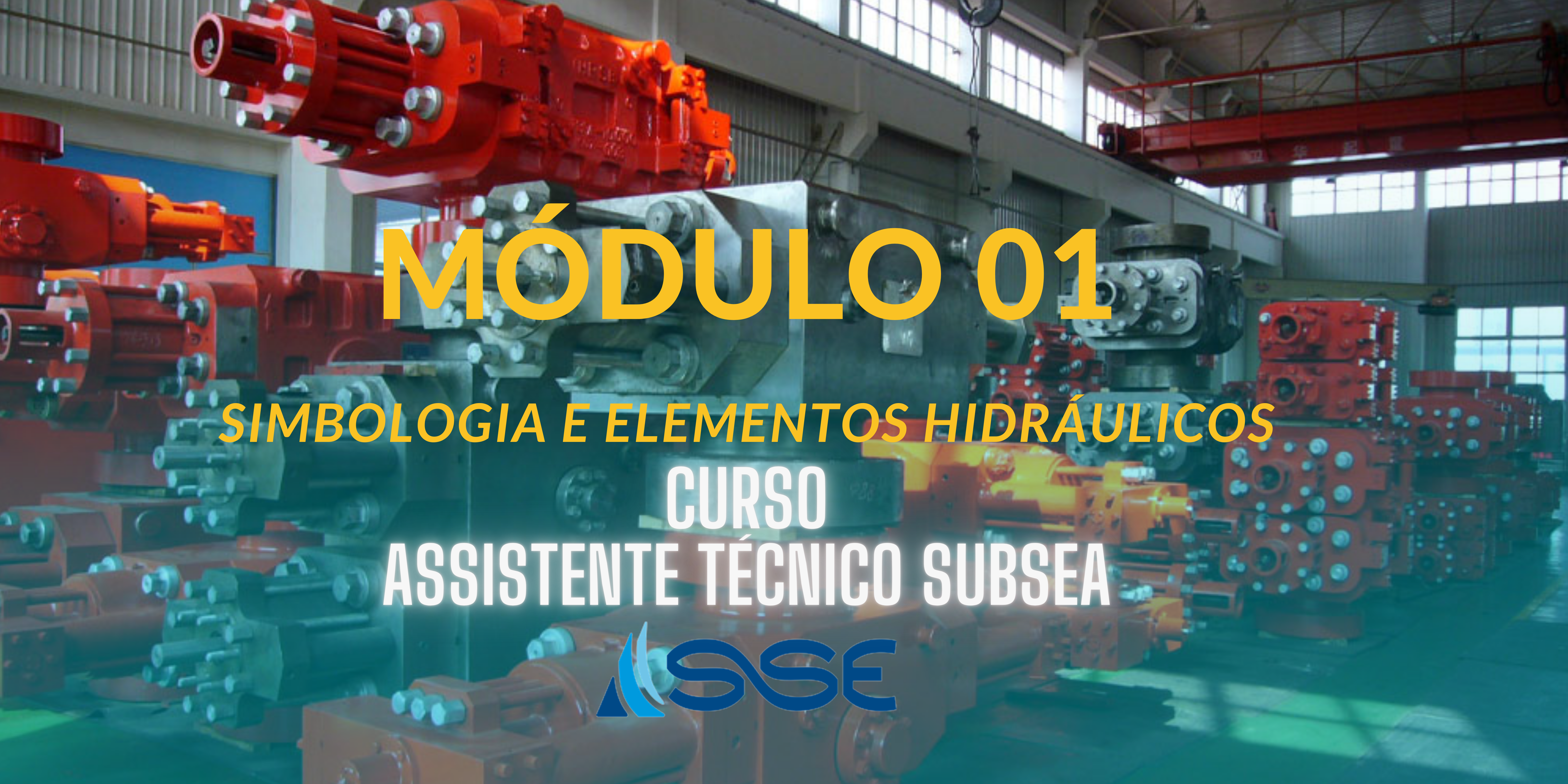 Capacitação Assistente Técnico Subsea - Módulo 01