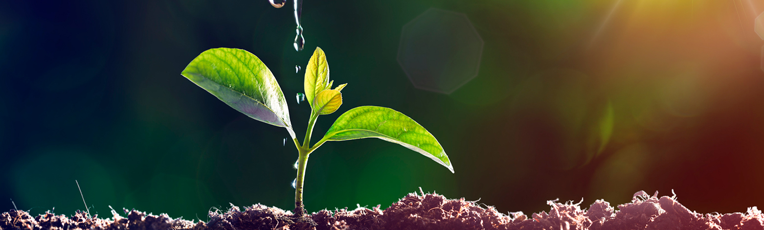 Basic Course of Environmental Education - 2026